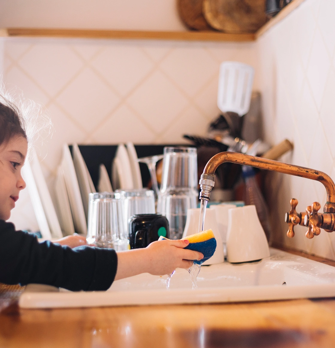 whole house water filtration perth